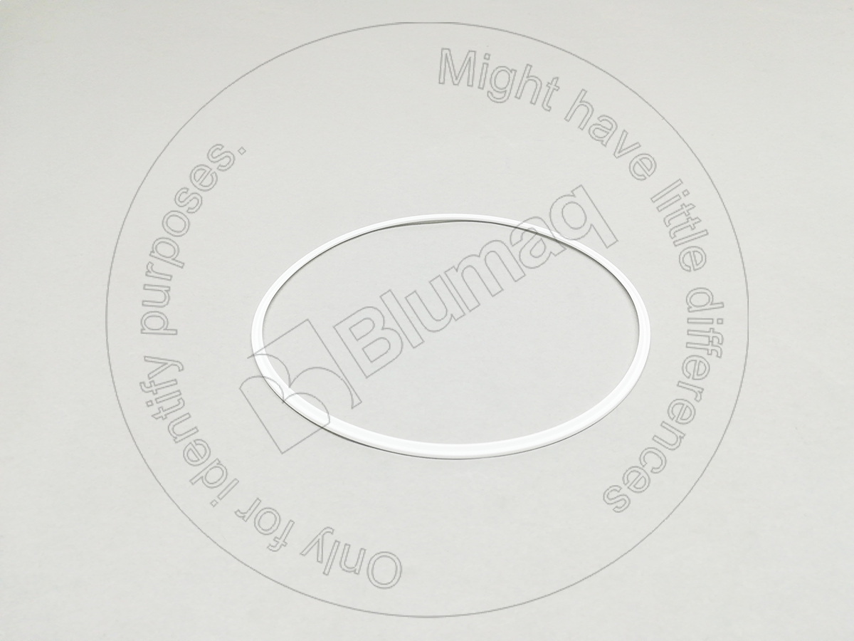 9P-6797 Segment for BLUMAQ
