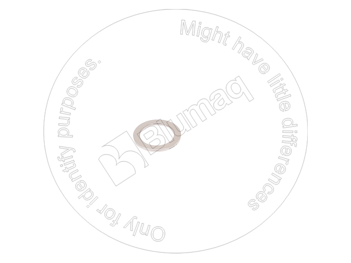 WS.81111 Bearing for BLUMAQ