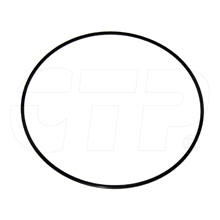 1076258 Ring Backup