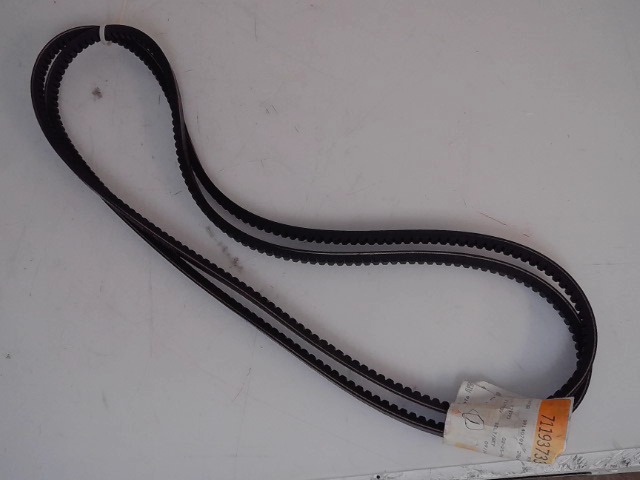 71193733 AGCO Belt Set/2
