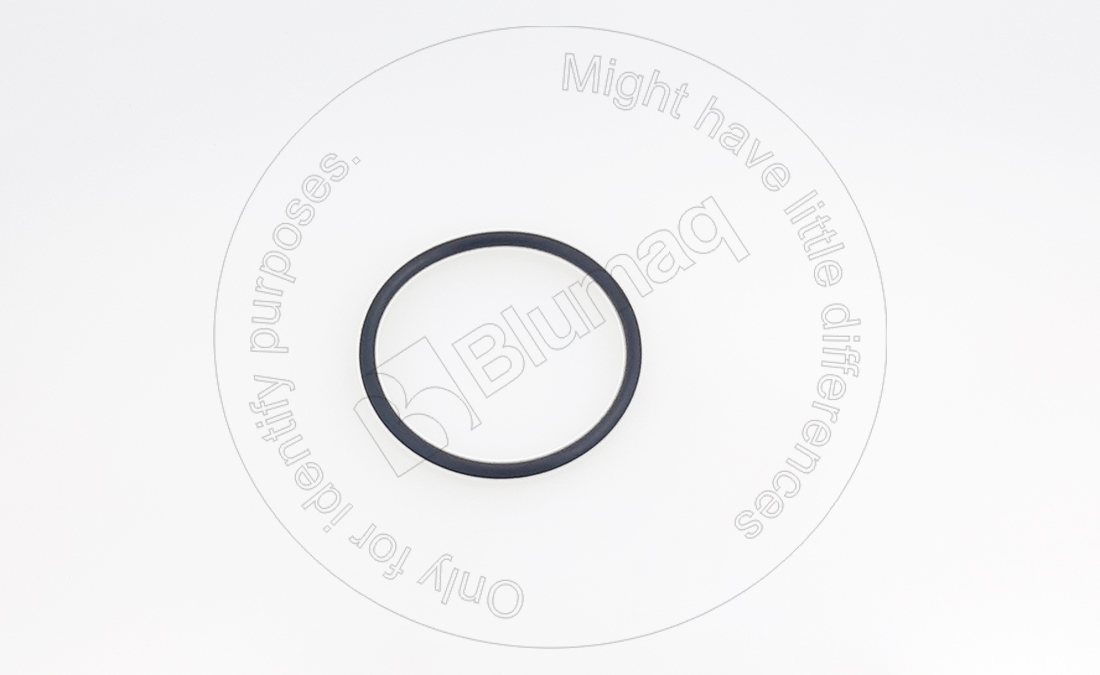219-7000 Seal O-ring for BLUMAQ