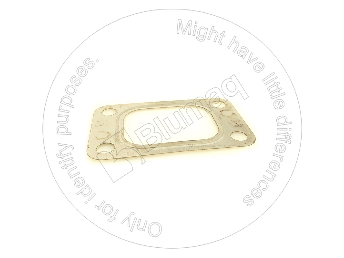 100-4450 Gasket for BLUMAQ