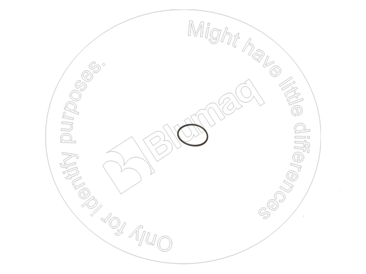 DZ01319624 Seal O-ring for BLUMAQ