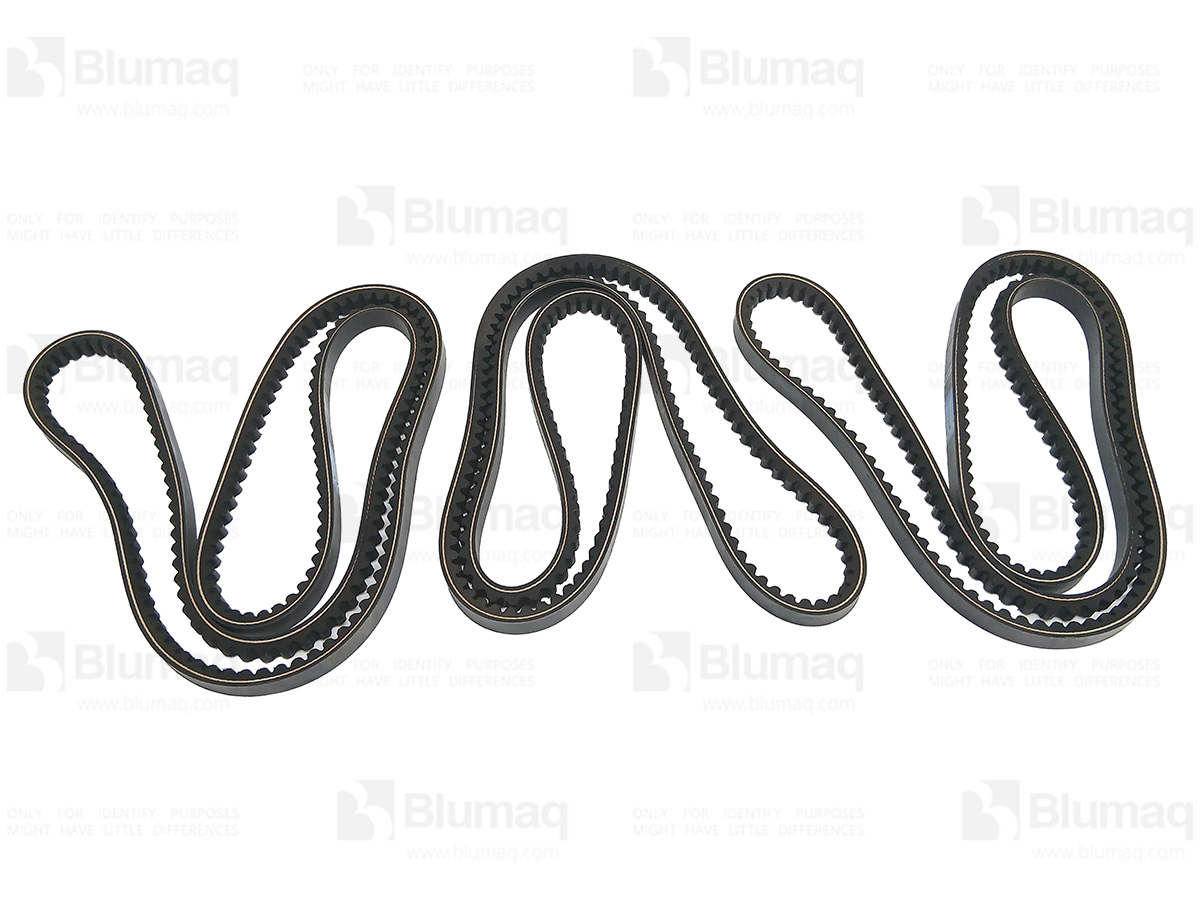 314-8495 BLUMAQ Belt Set -3-
