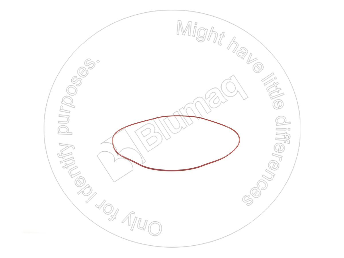 6206-11-8810 Gasket for BLUMAQ
