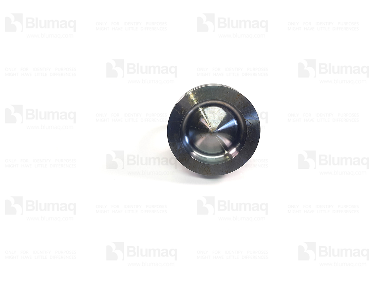 197-9328 Piston Crown for BLUMAQ