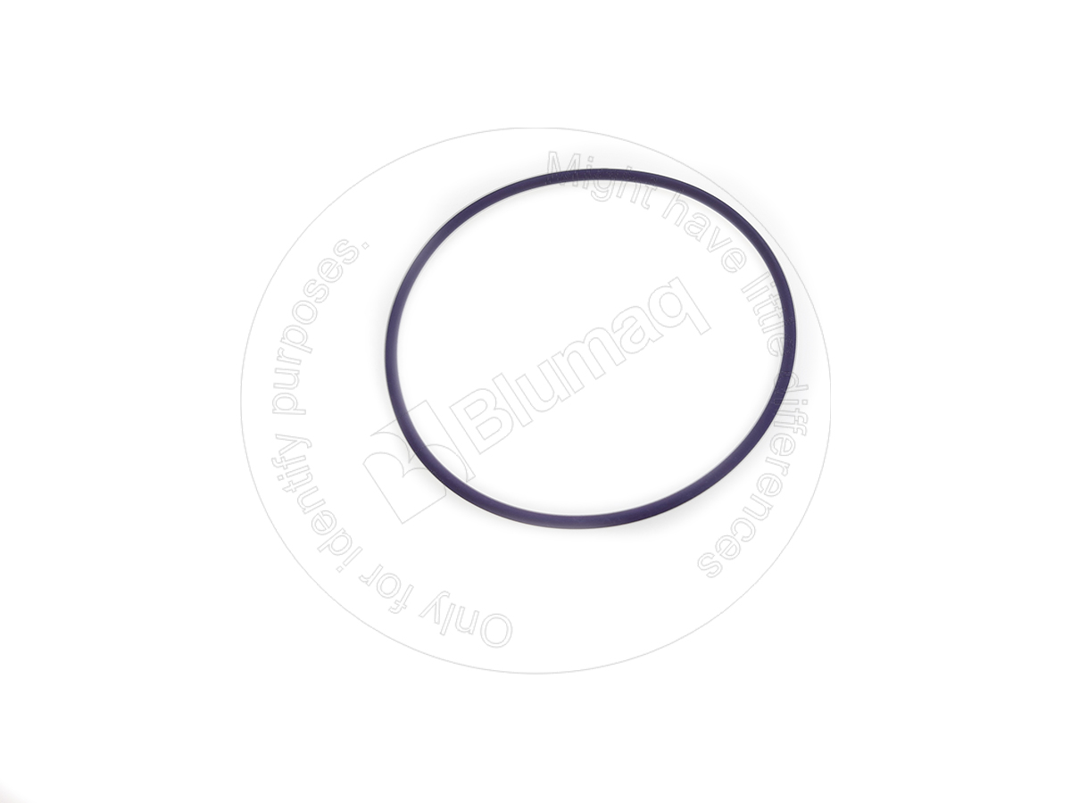 115.977 Seal O-ring for BLUMAQ