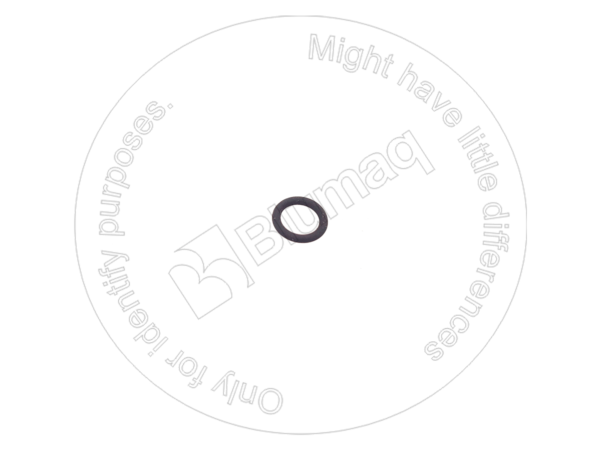 379366R1 Seal O-ring