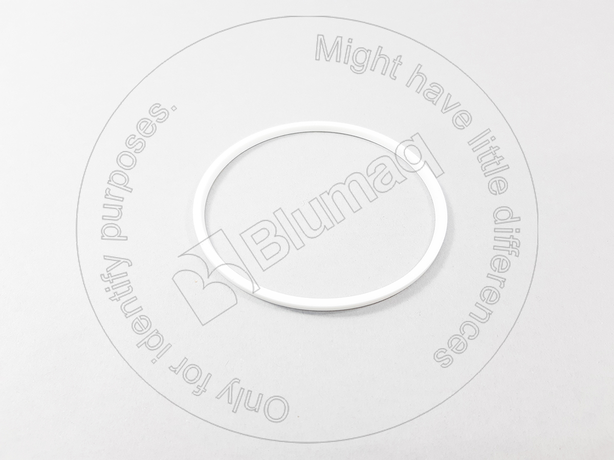 714-08-19210 Seal Ring for BLUMAQ