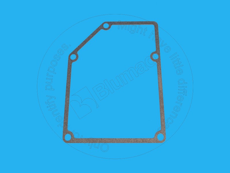 6162-13-8810 Gasket for BLUMAQ