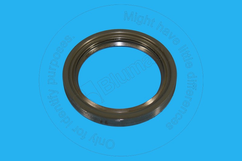 193-2200 Seal for BLUMAQ