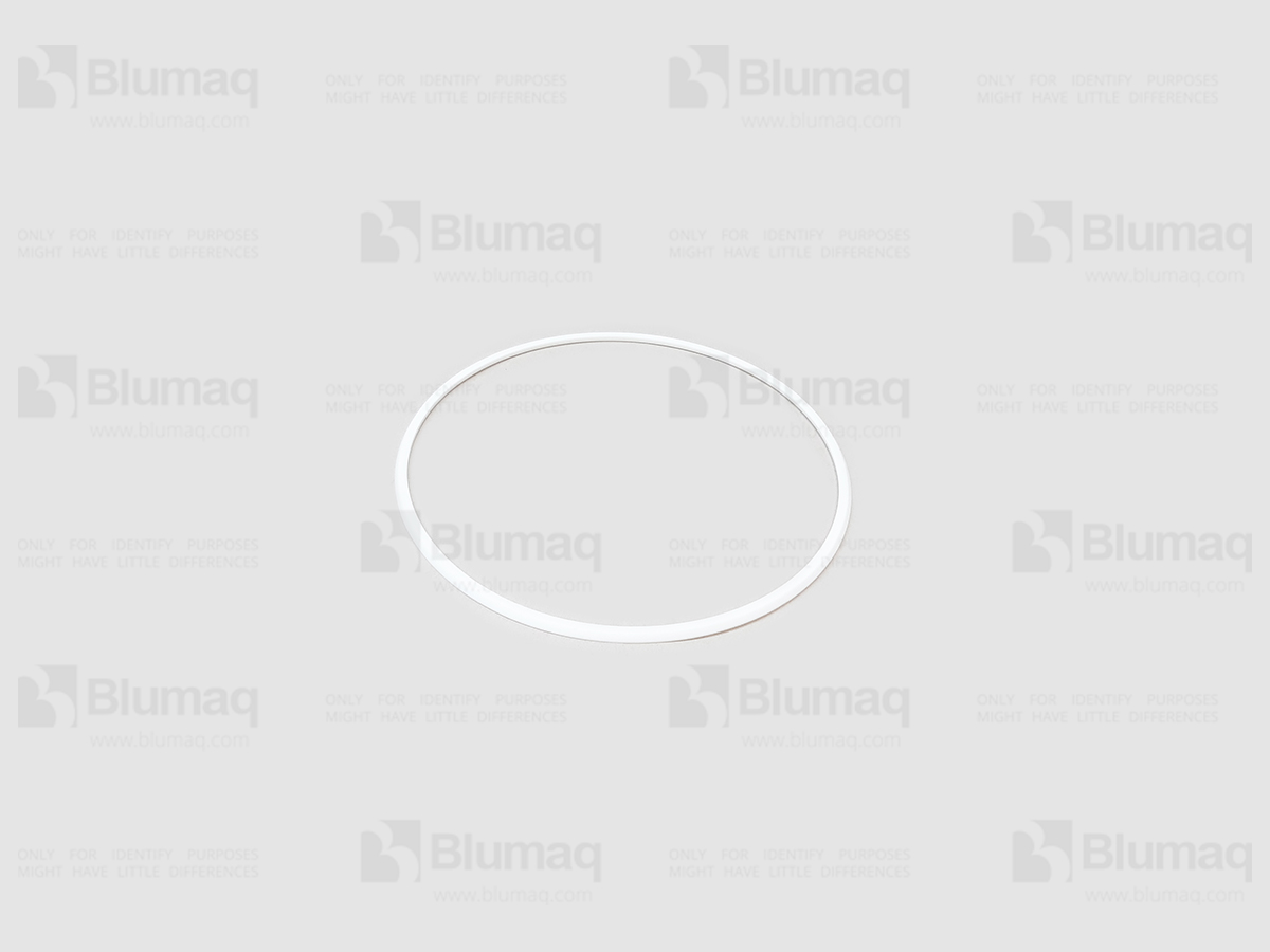 6T-0252 BLUMAQ Segment