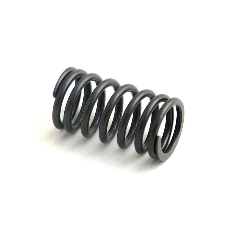 7160907 Valve Spring for RELIANCE POWER