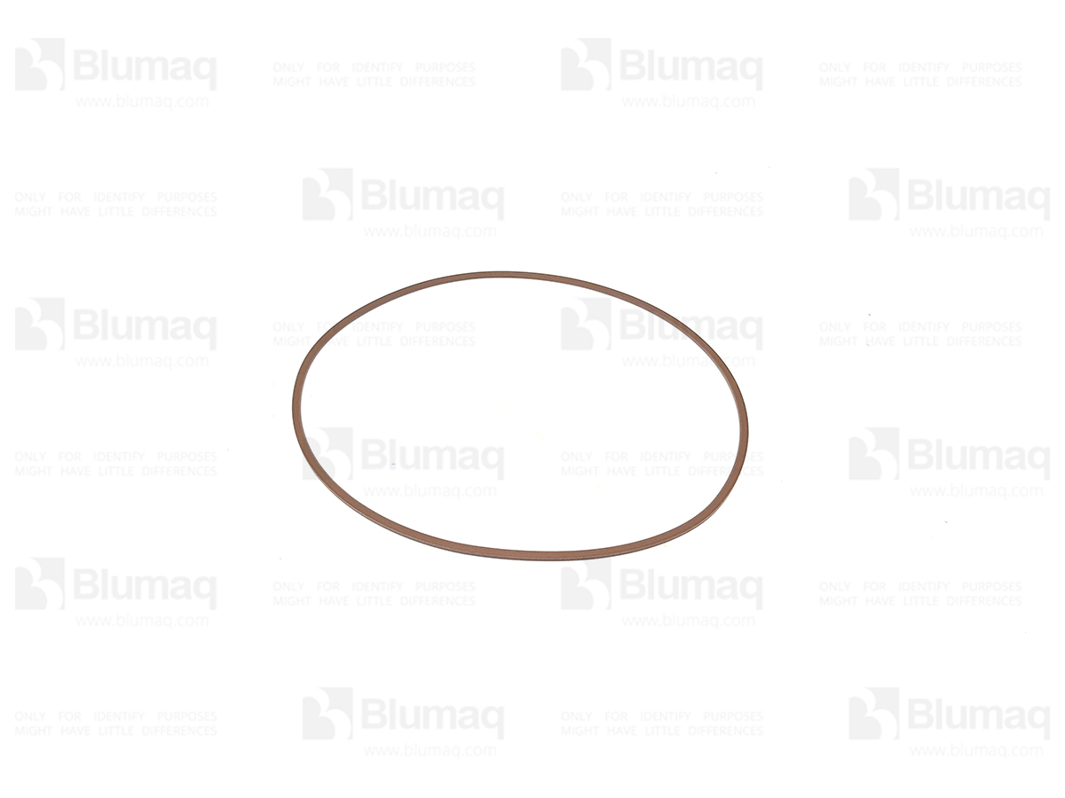CS71448832 Back-up Ring