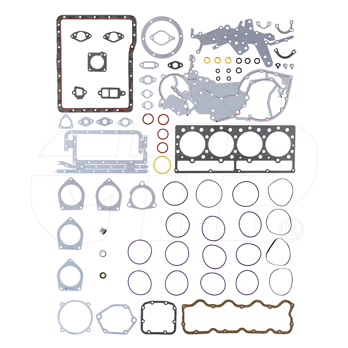 5P2007 Group- Basic O/h