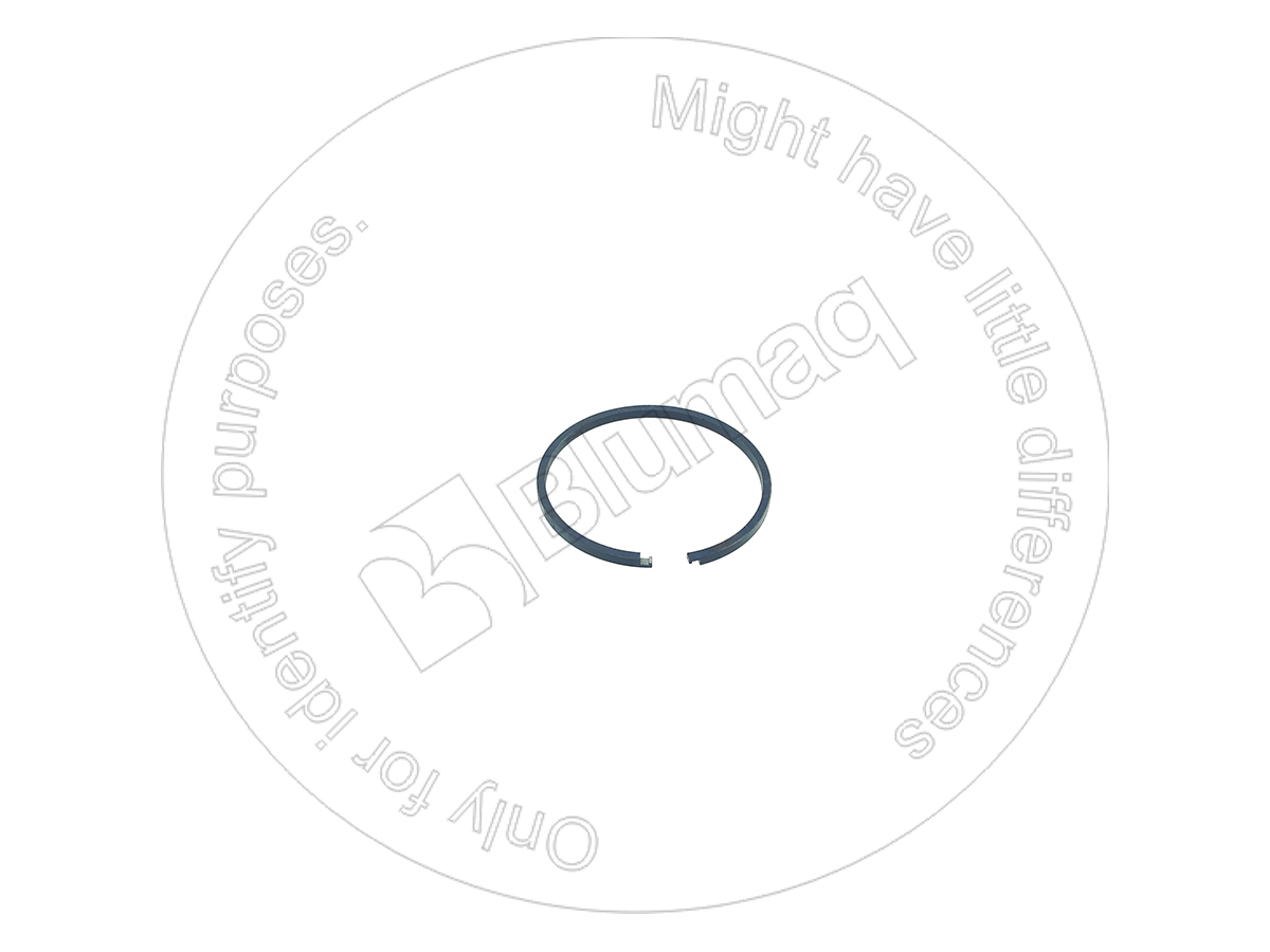 310-15-21620 Seal O-ring for BLUMAQ