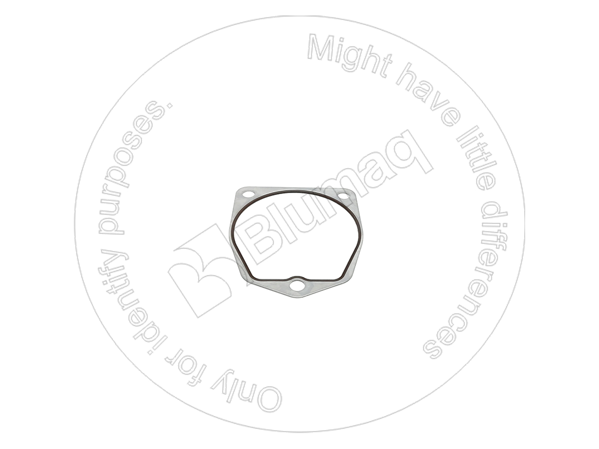 129-2181 Seal for BLUMAQ