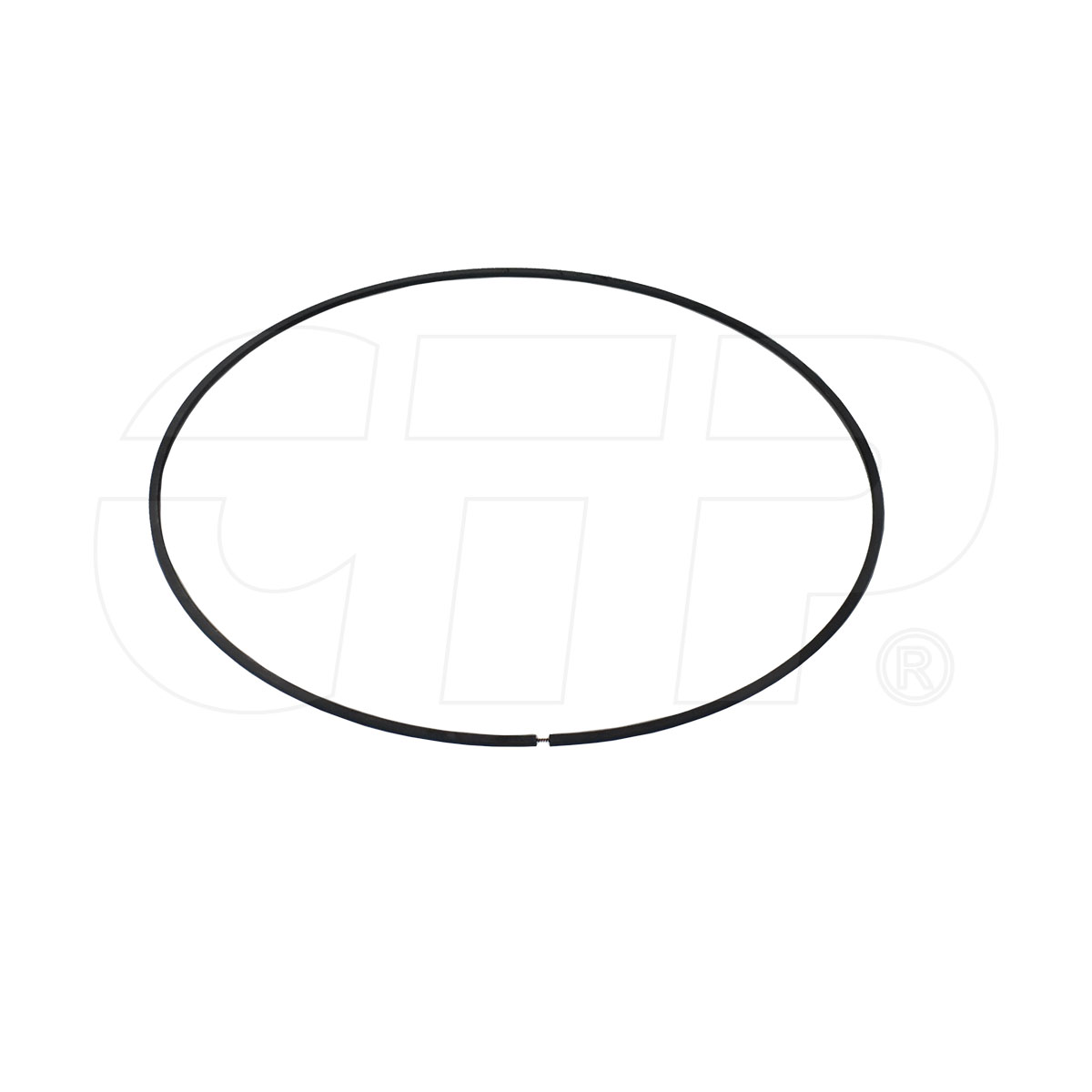 2S6443 Ring Sealing