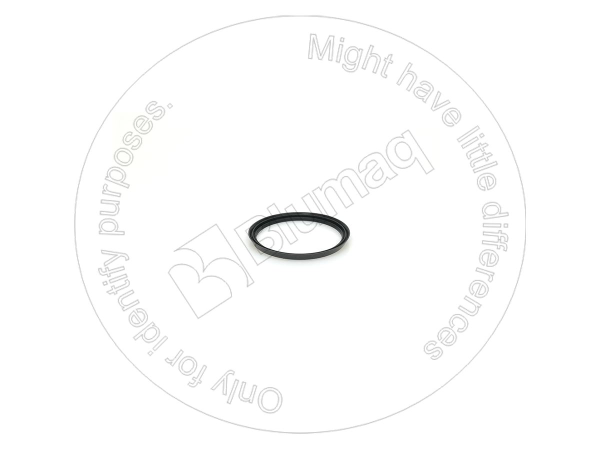 4R-9999 Seal for BLUMAQ