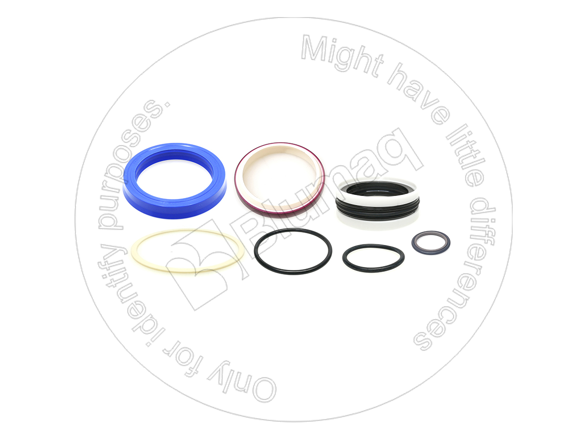 900.02872 Steering Cyl. Seal Kit for BLUMAQ