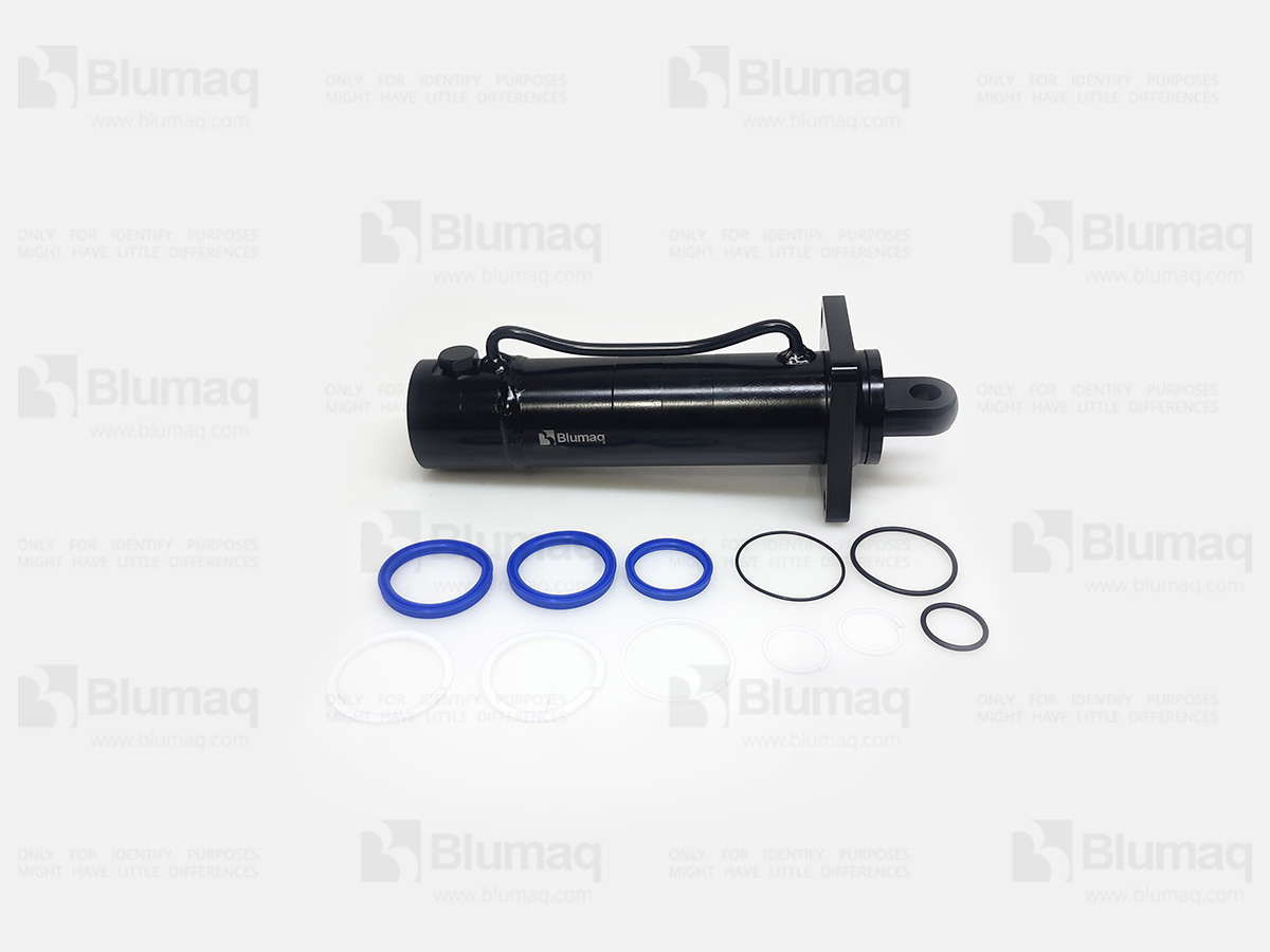 169-0329 Hydraulic Cylinder for BLUMAQ