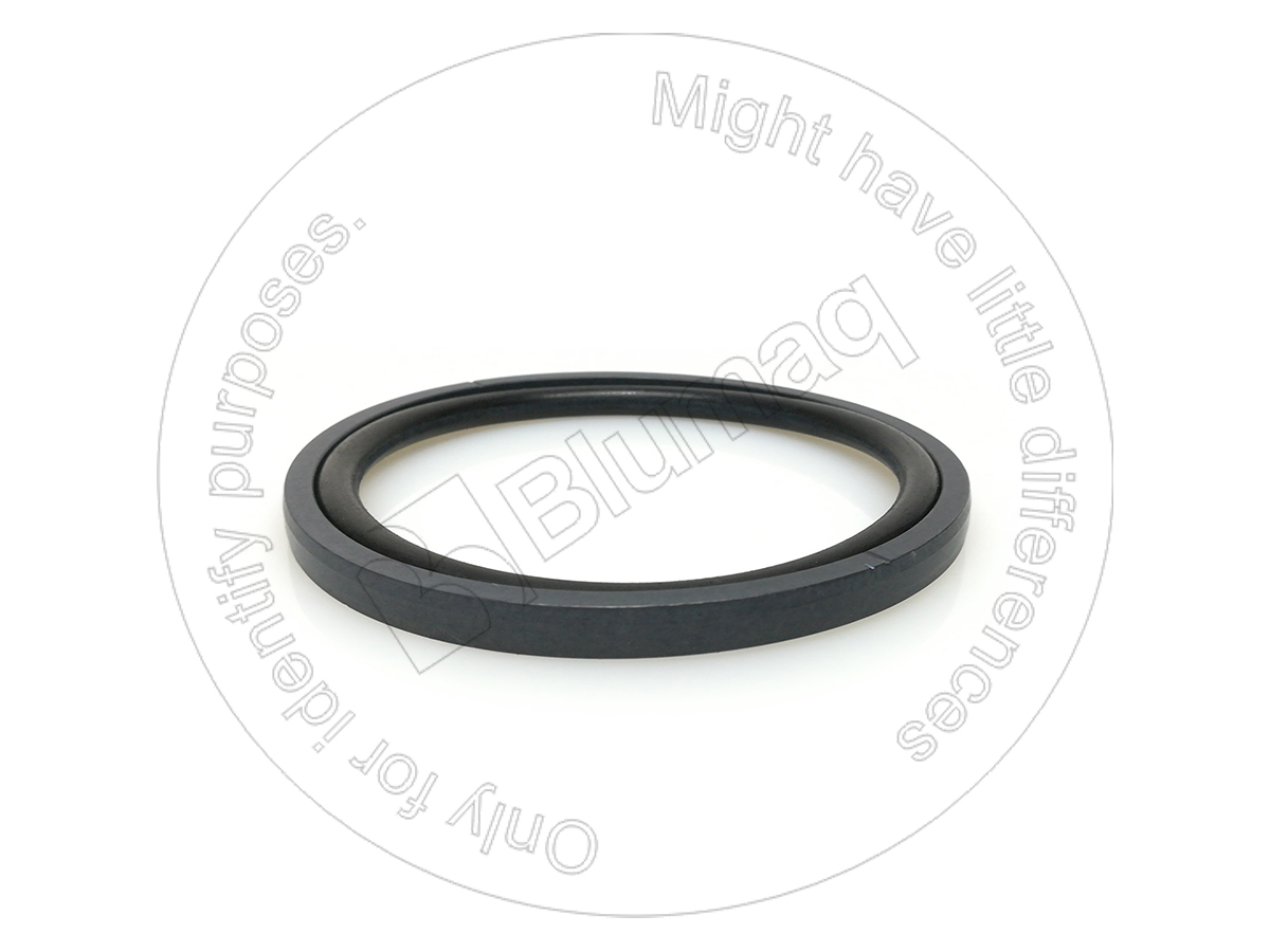 096-7803 Seal for BLUMAQ