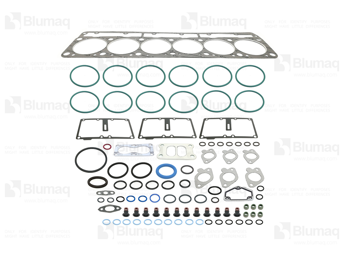 308-6320 Gasket Kit for BLUMAQ