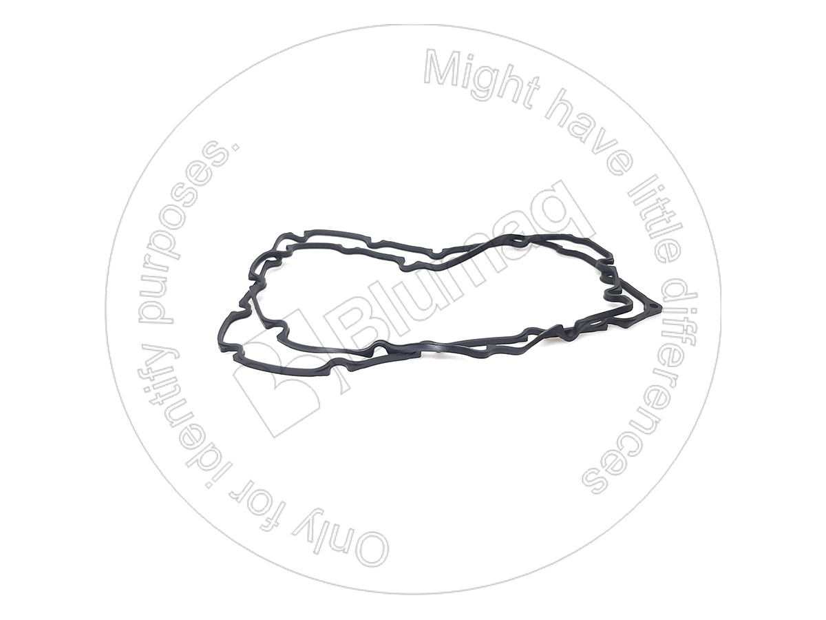 035.327 Seal for BLUMAQ