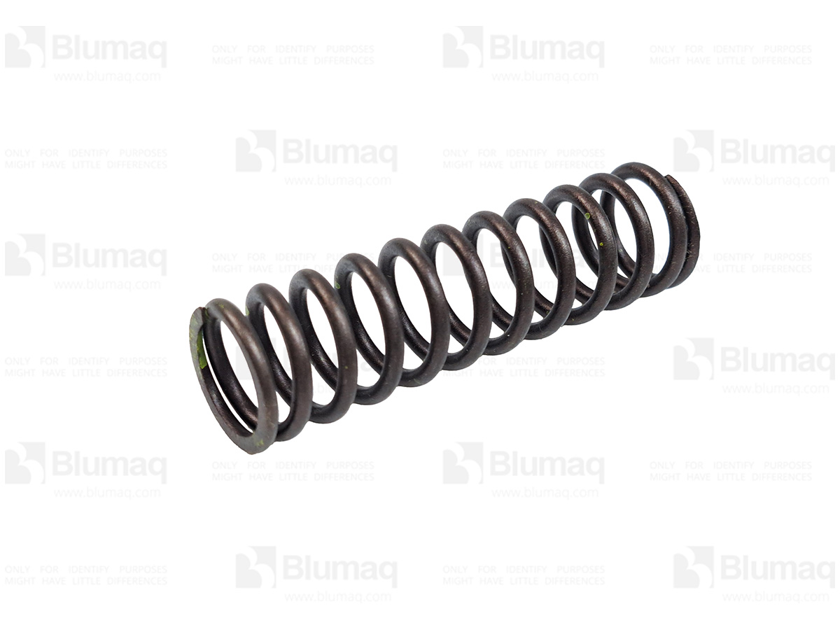 349-5303 Valve Spring for BLUMAQ