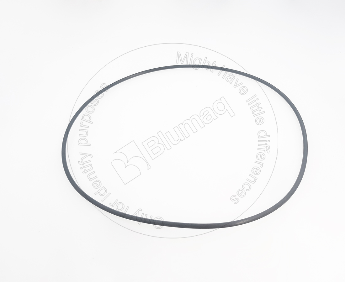 07000-05310 Seal O-ring for BLUMAQ