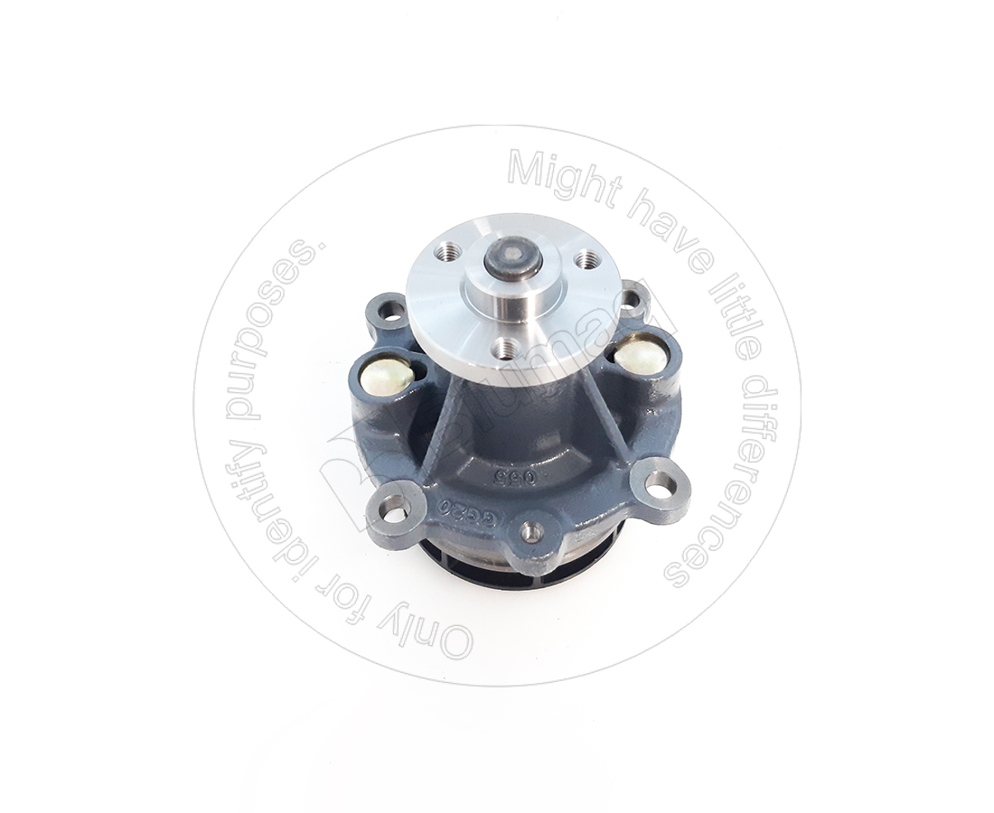 DZ04517465 Water Pump for BLUMAQ