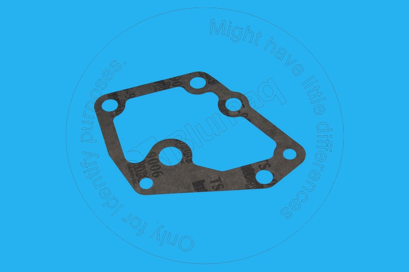 294-1769 Gasket for BLUMAQ