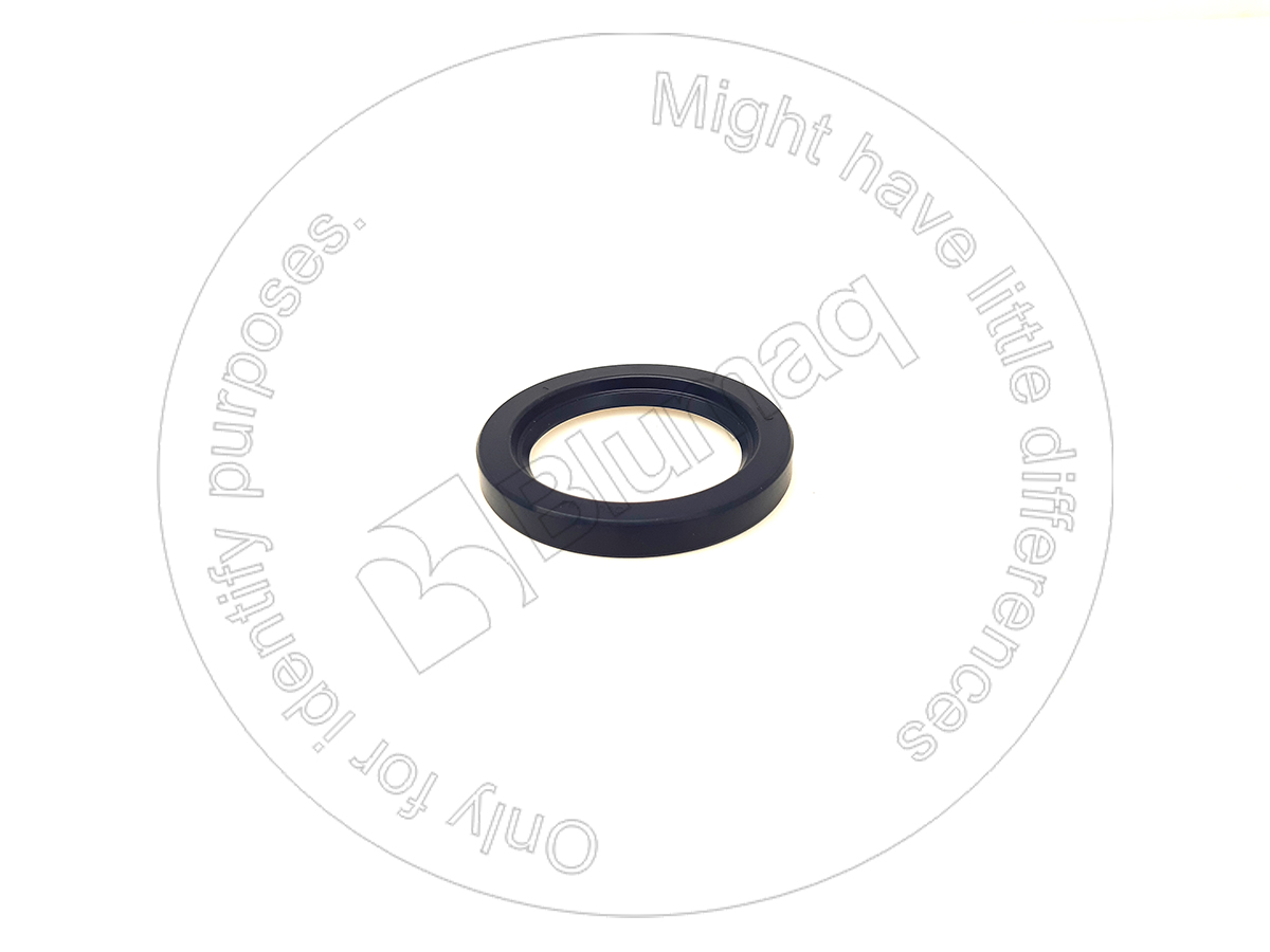 154-5405 Seal for BLUMAQ