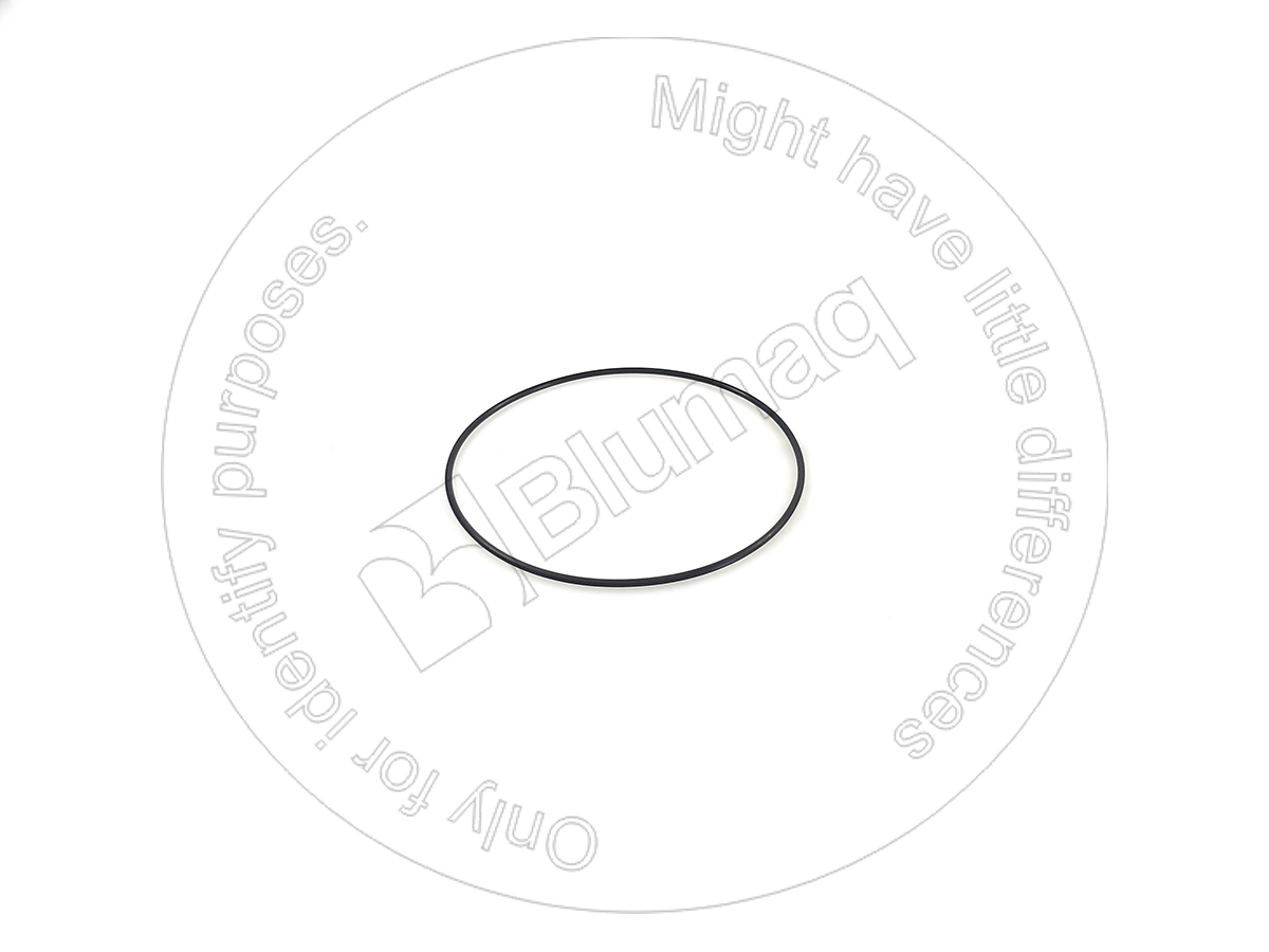 VO8210-06281 Seal O-ring for BLUMAQ
