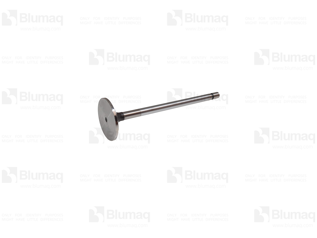 262-2957 Intake Valve for CATERPILLAR