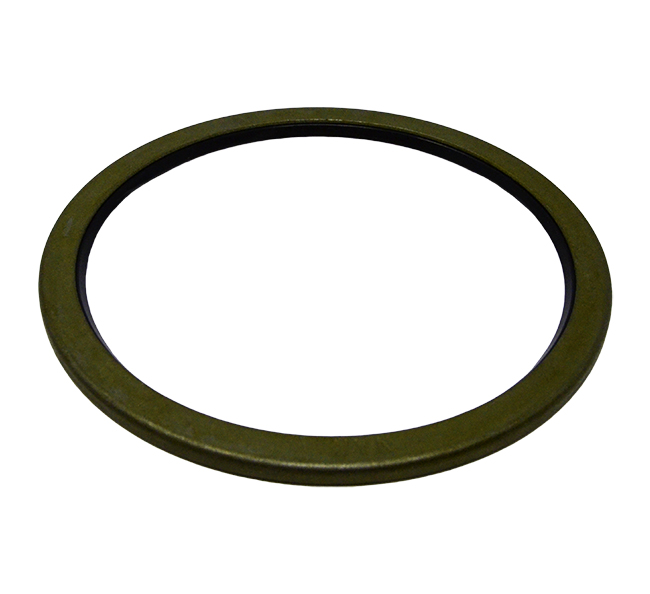 159648A1 CASE Seal