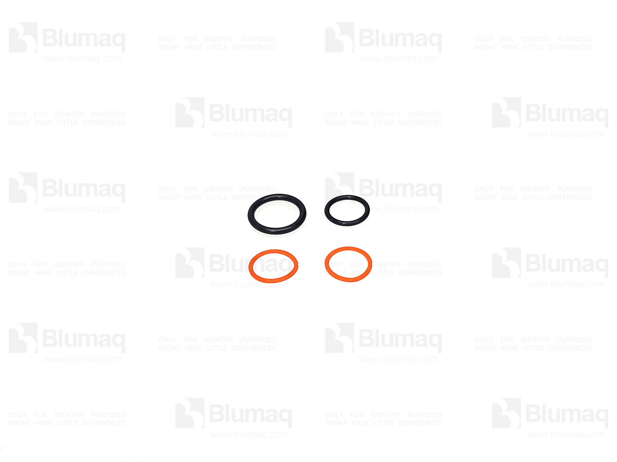 372-7059 Hydraulic Seal Kit for BLUMAQ