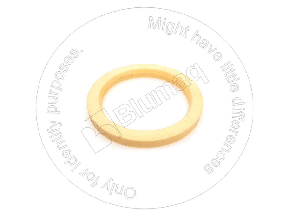 900.02758 Seal for BLUMAQ