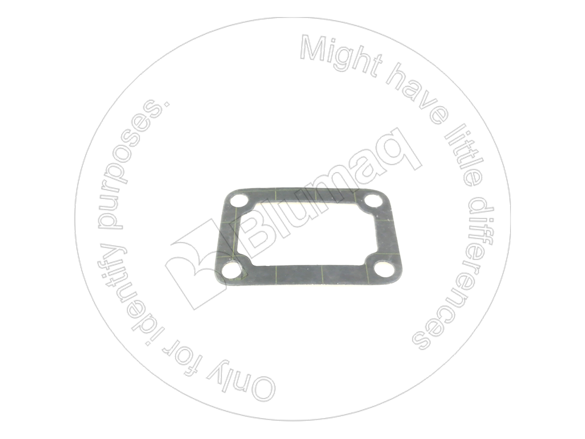 8F6142 Gasket-ctp