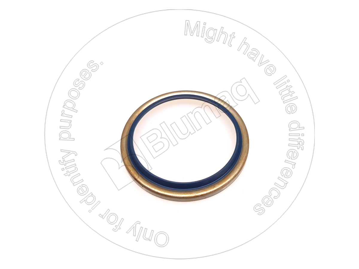 BC6960368 Seal for BLUMAQ