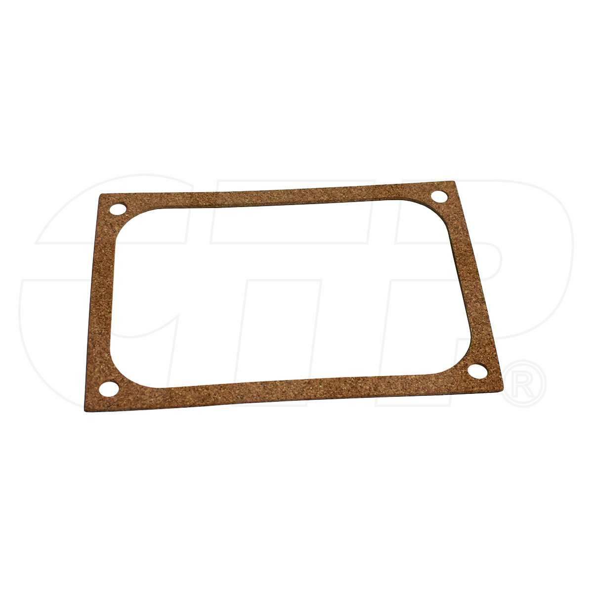 2G9796 Gasket