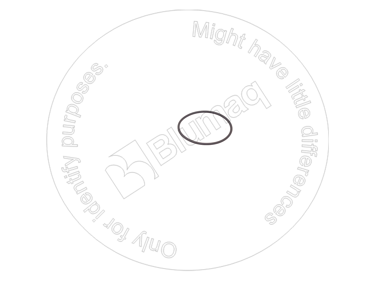 6505-51-0760 Seal O-ring for BLUMAQ