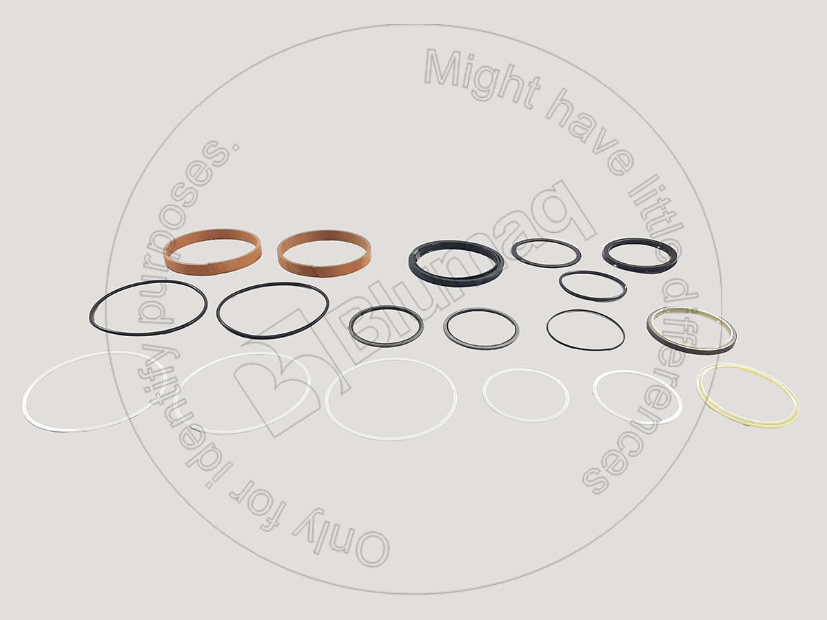 707-99-68770 Arm Seal Kit for BLUMAQ