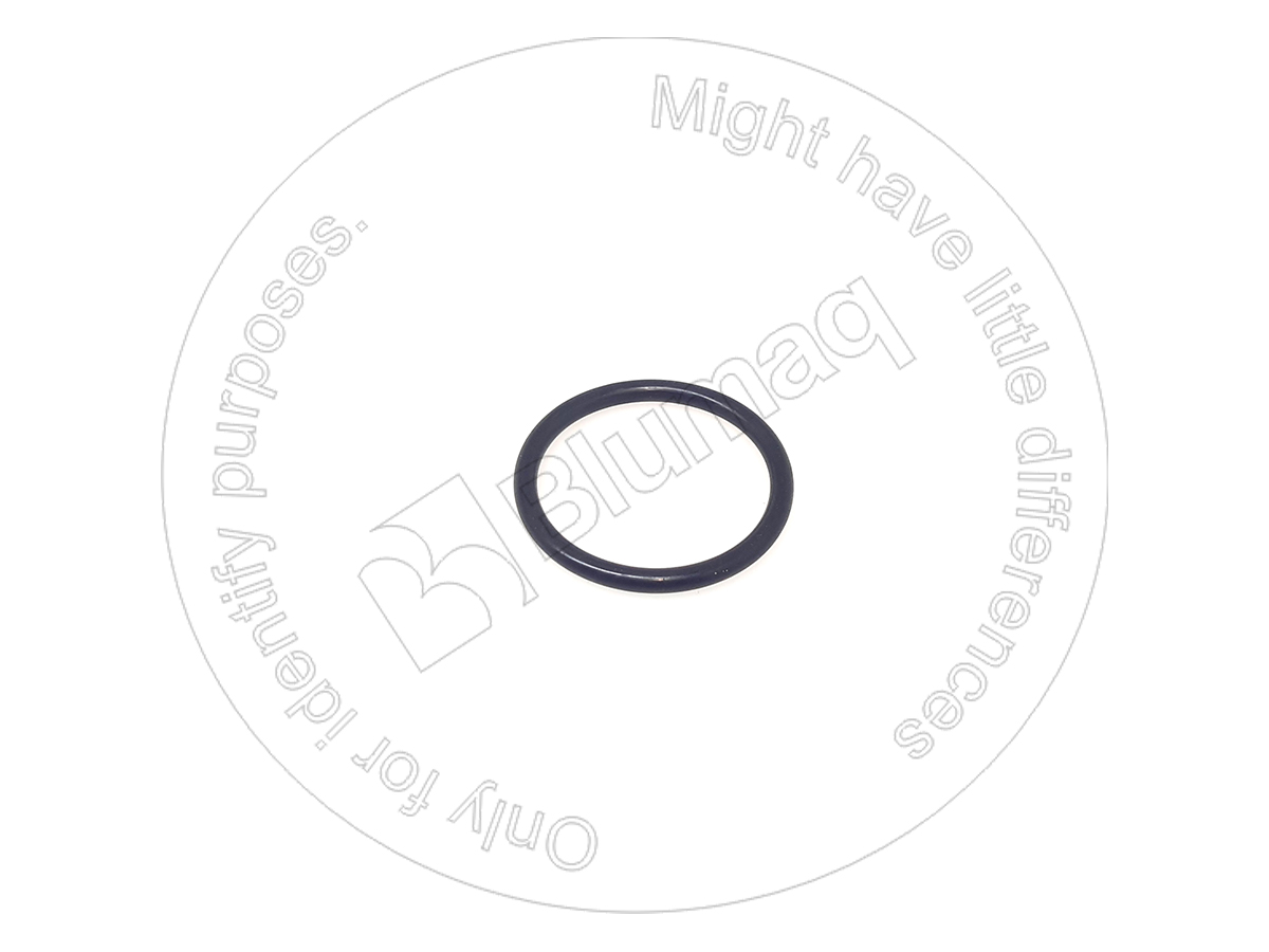 124-0506 Seal O-ring for BLUMAQ