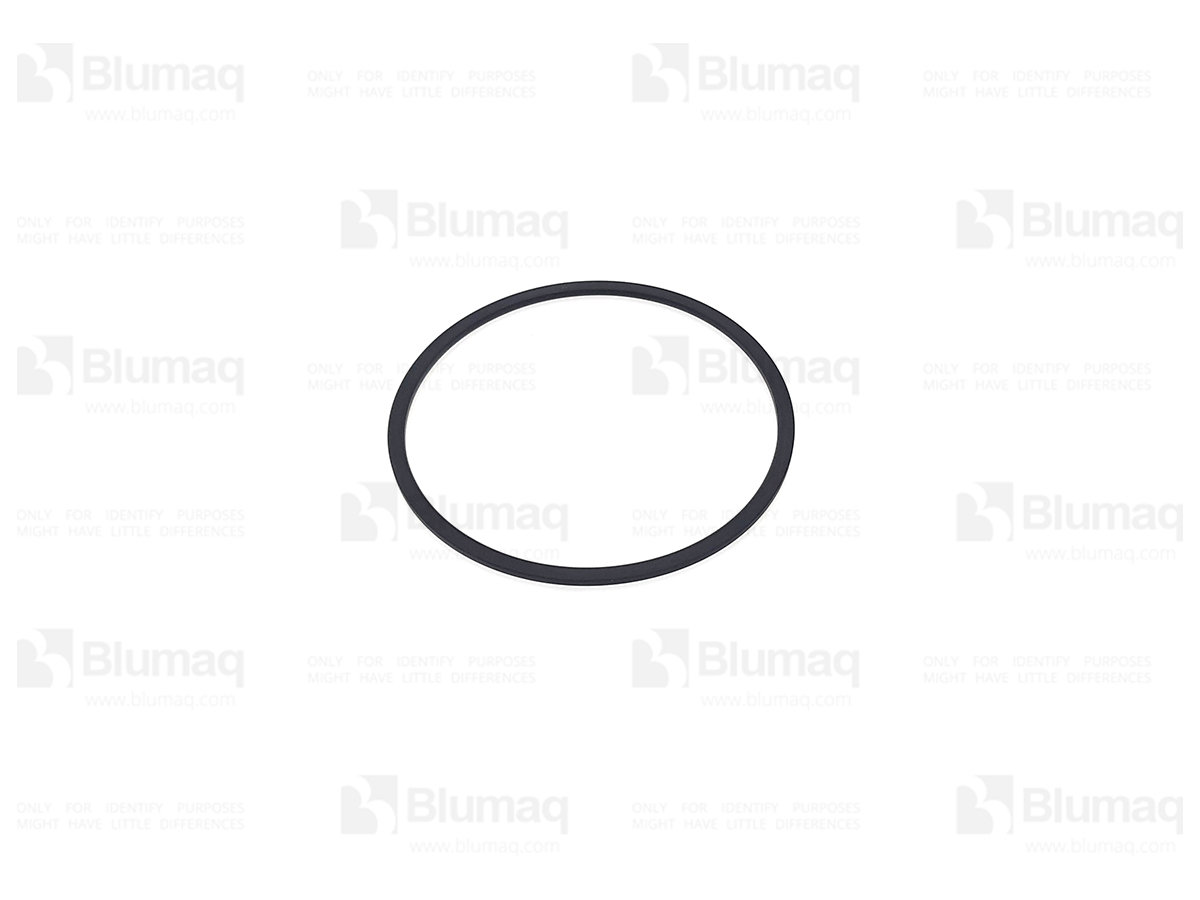 TX77096500 Seal for TEREX