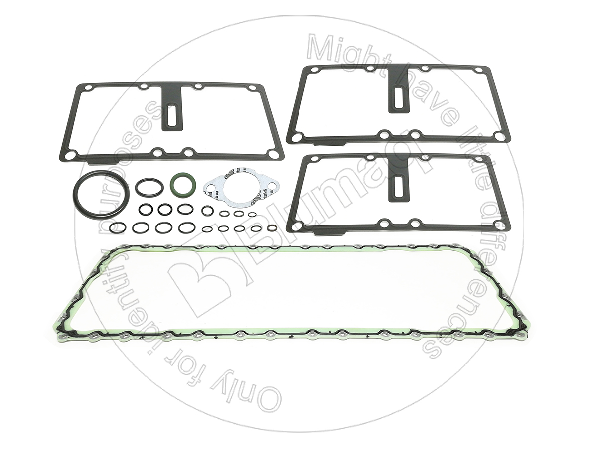 284-9745 BLUMAQ Gasket Kit