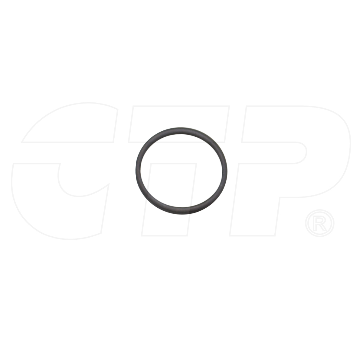 5P2199 Ring Backup