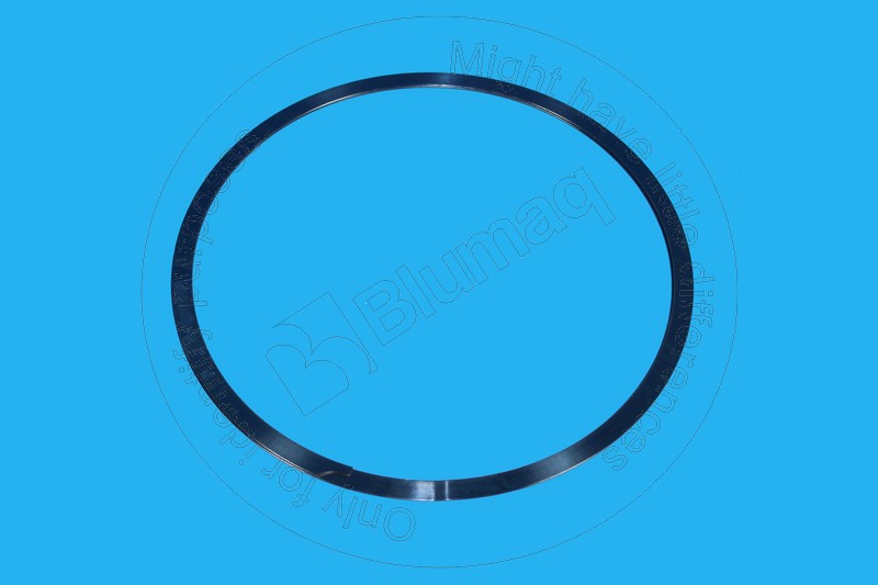 6V-7979 Seal Ring for BLUMAQ