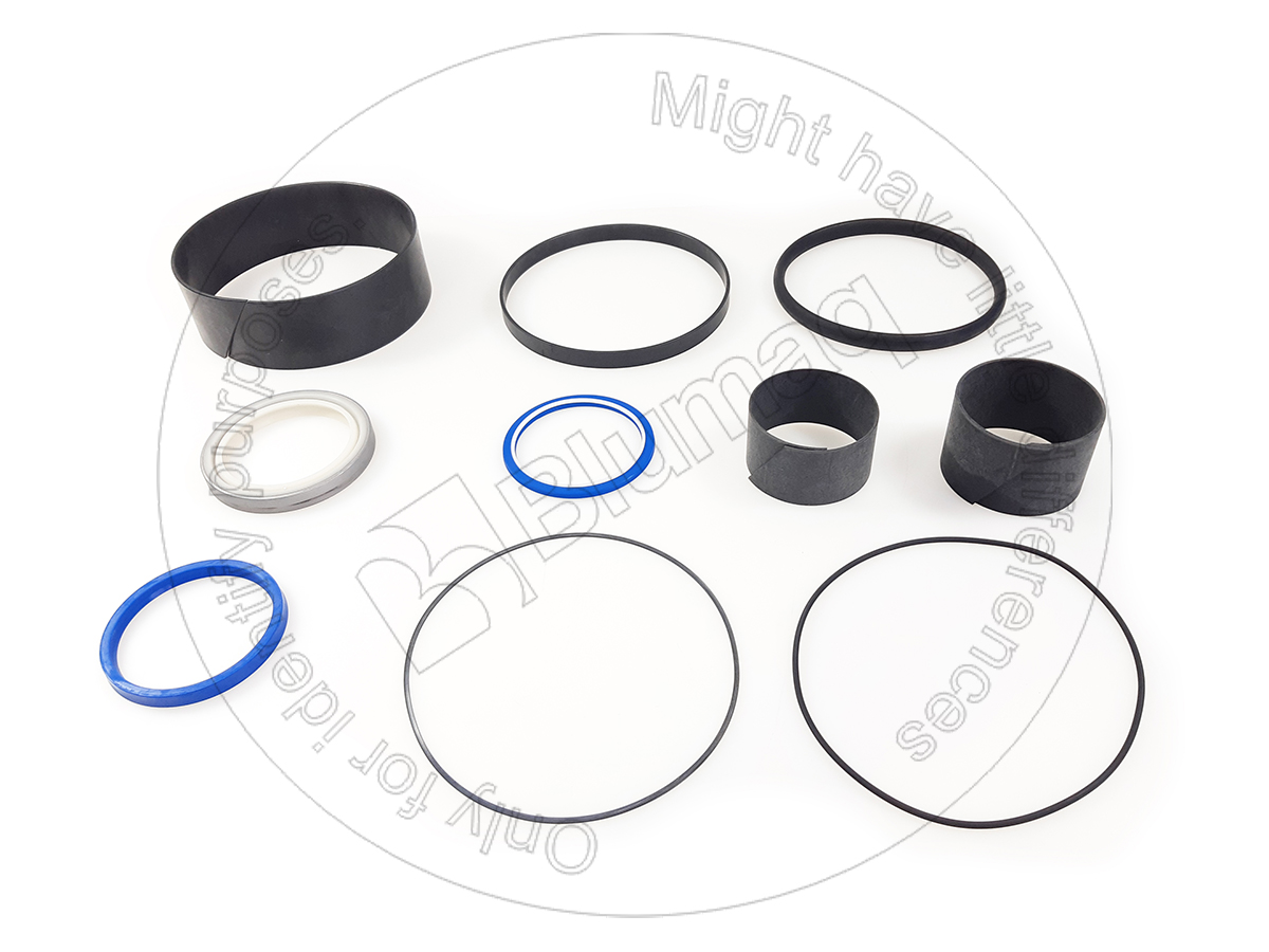 186-9748 BLUMAQ Hydraulic Seal Kit