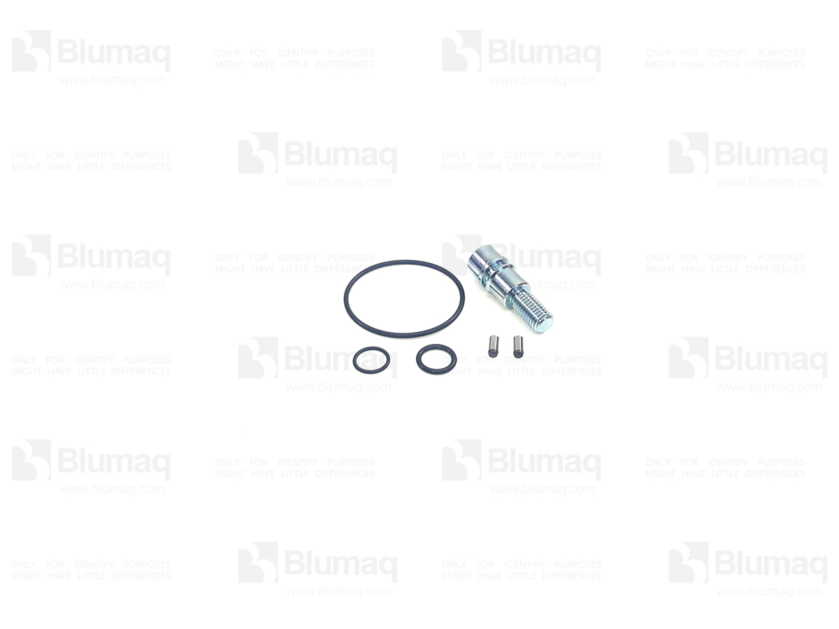 196-6875 Seal Kit